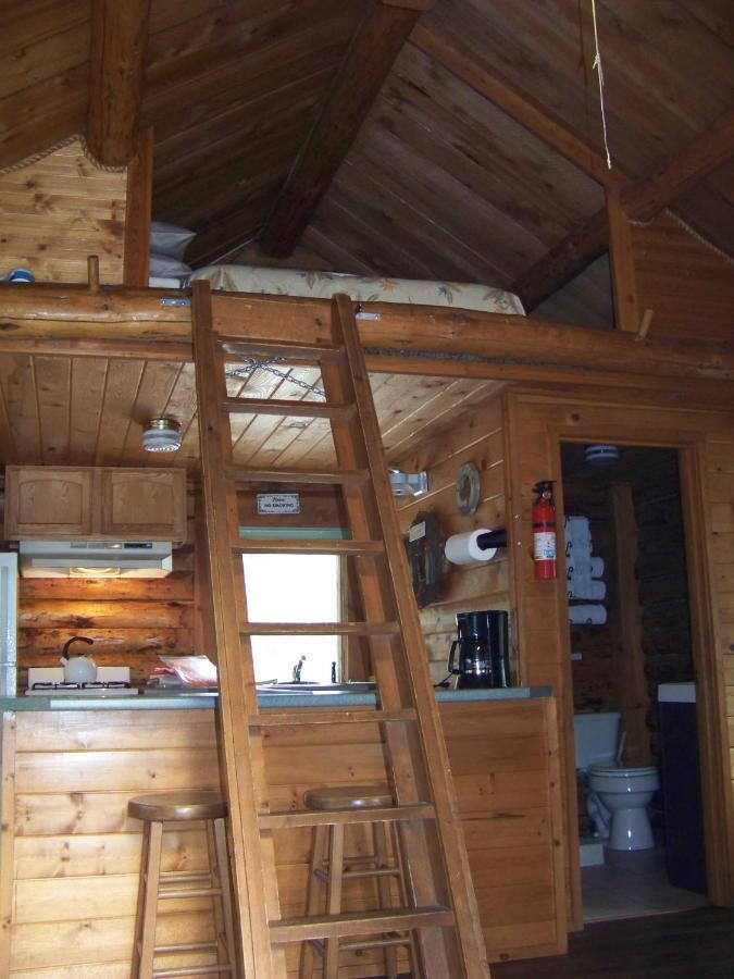 Box Canyon Cabins Seward Kültér fotó